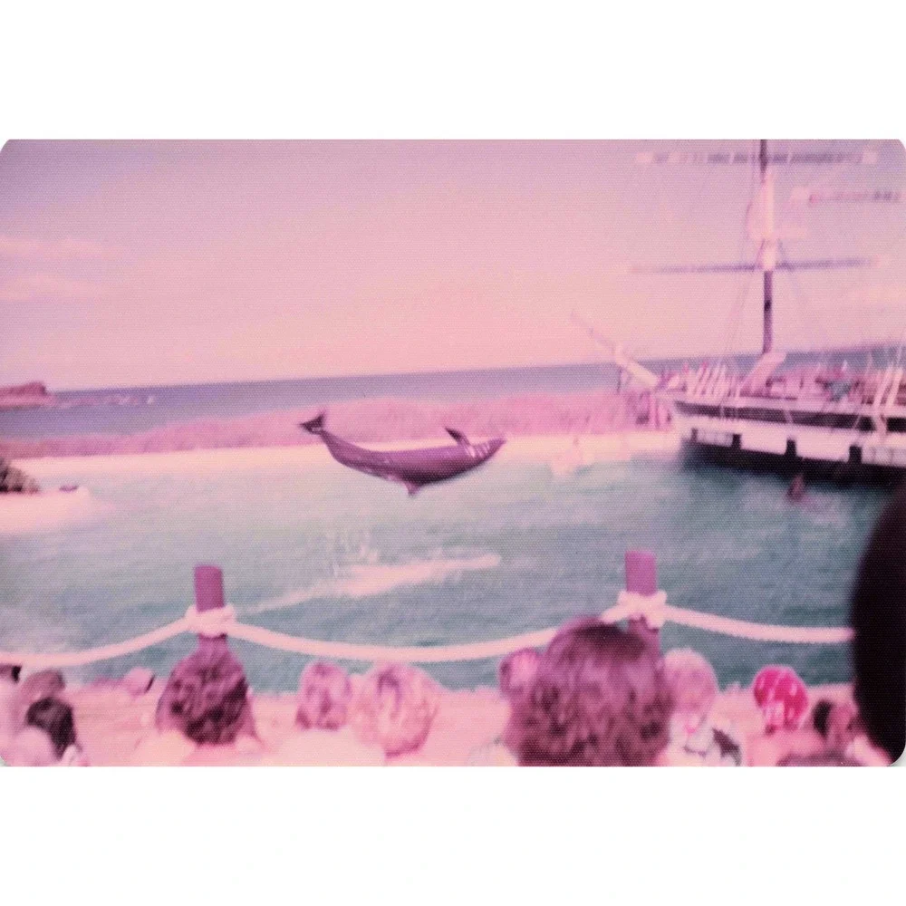 Vintage 1970s Sea Life Park Hawaii Dolphin Show Tall Ship Photo Lot of 17 - Picture 12 of 16